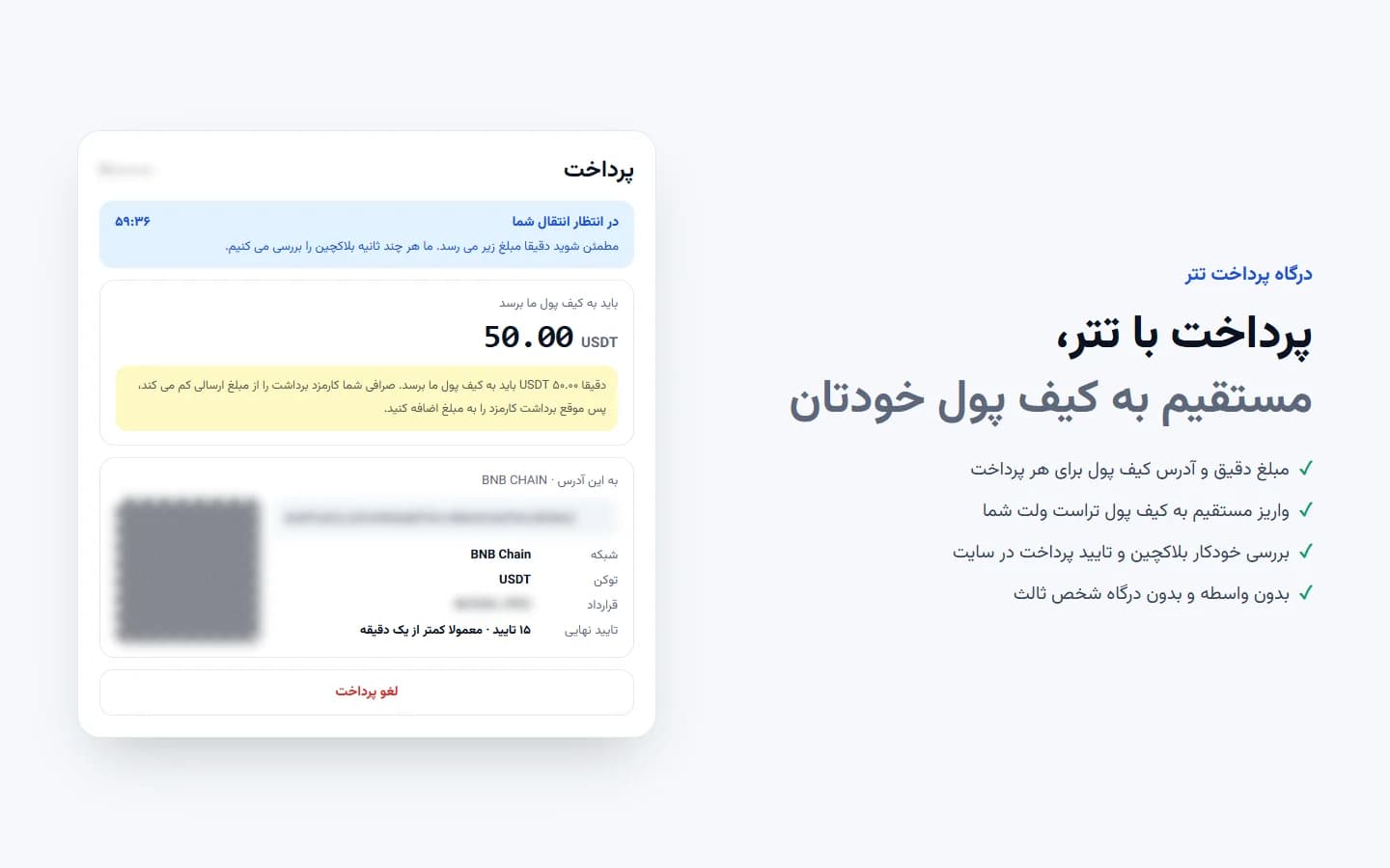 صفحه اصلی درگاه پرداخت تتر